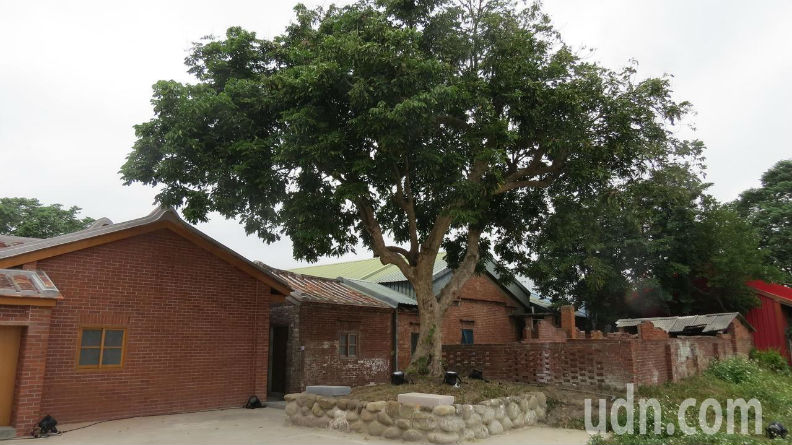 台灣千年紅檜流落日本，他買回來重修祖厝「落木歸根」_img_4