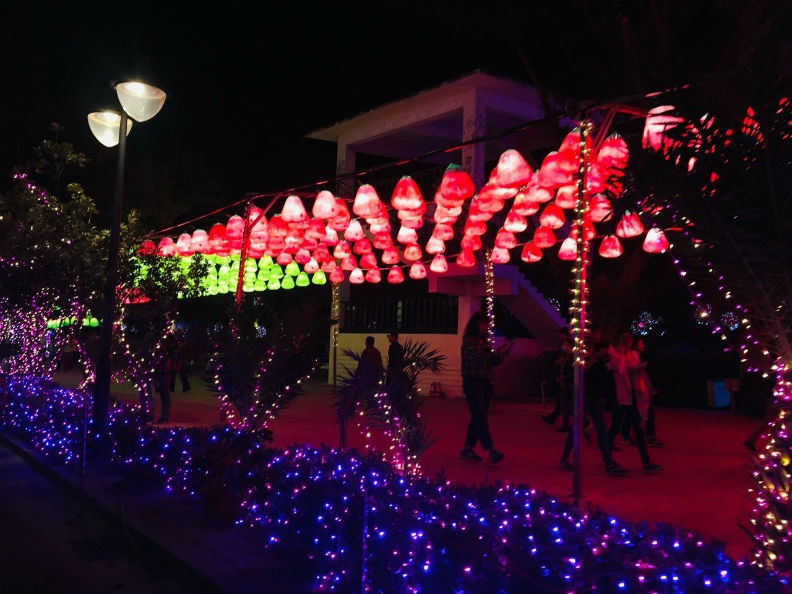 台灣燈會偏僻當初遭看衰 3大原因翻身成功_img_1