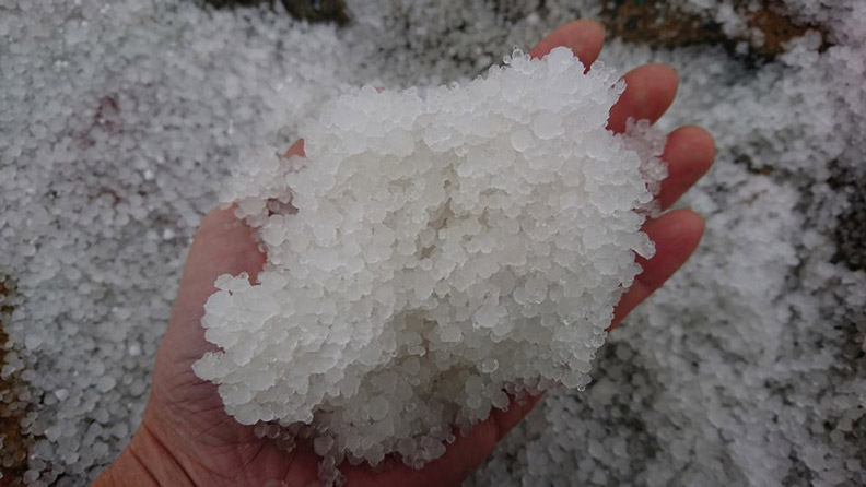 合歡山突下冰雹！雪白覆蓋山頭成銀白世界_img_1