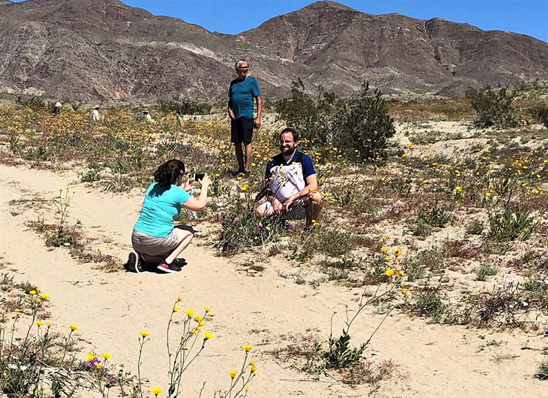 今年春天的意外驚喜!遇上「超級花期」沙漠野花盛開_img_14