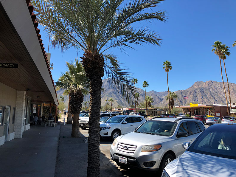 今年春天的意外驚喜!遇上「超級花期」沙漠野花盛開_img_15