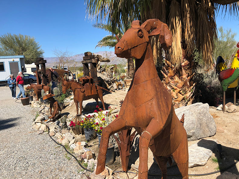 今年春天的意外驚喜!遇上「超級花期」沙漠野花盛開_img_16