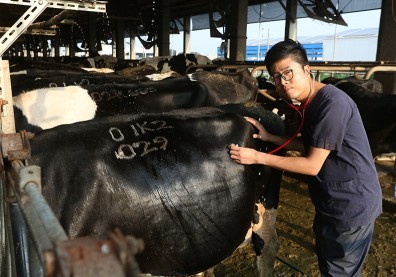 企業與社企「大手牽小手」 從買產品變供應鏈伙伴