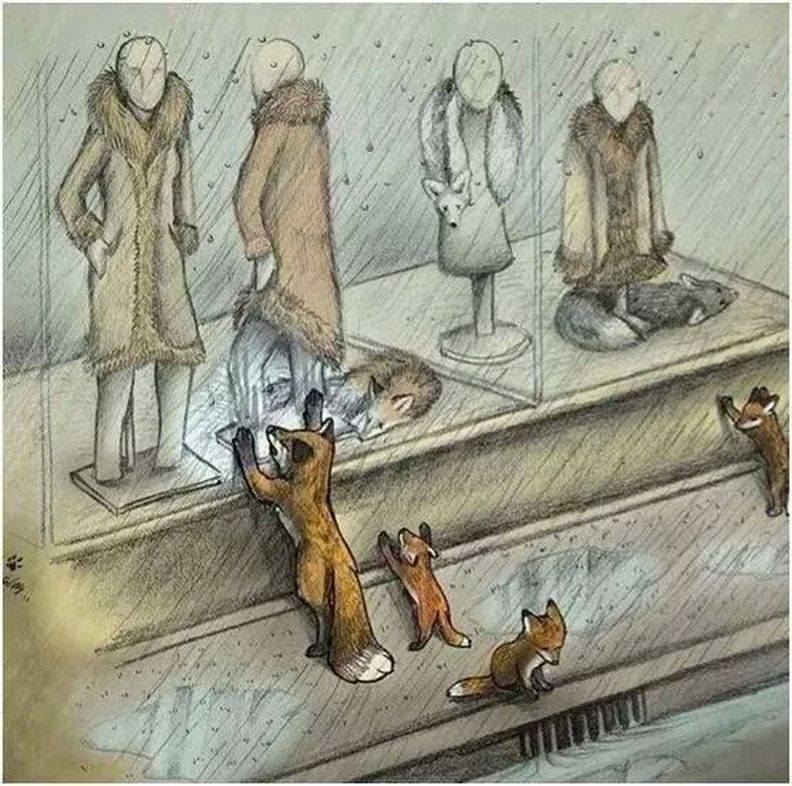 皮草時尚的殘忍真相:你穿上的無辜動物悲歌_img_5
