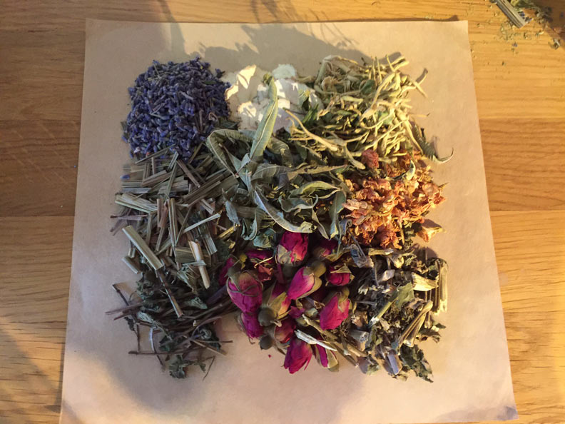 宏碁施振榮帶阿公阿嬤全台趴趴走！_img_4