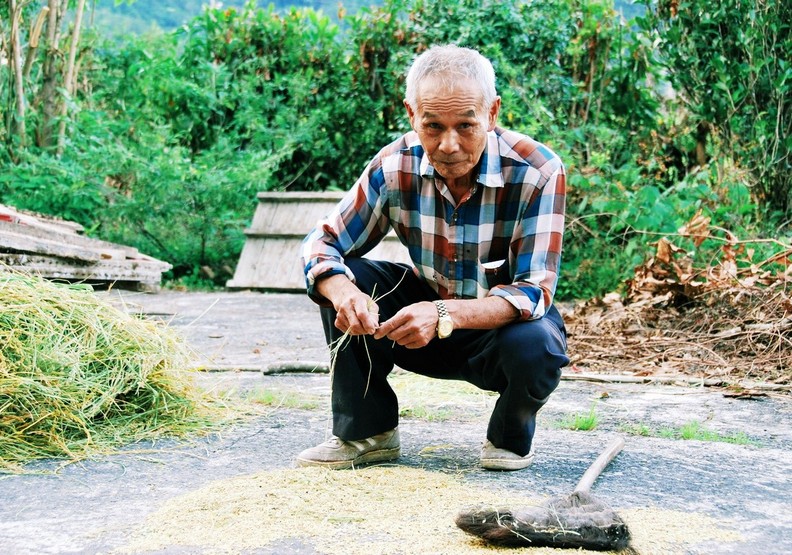 捷克女孩大力讚譽！她向外國人分享一定要造訪台灣的10大理由_img_10