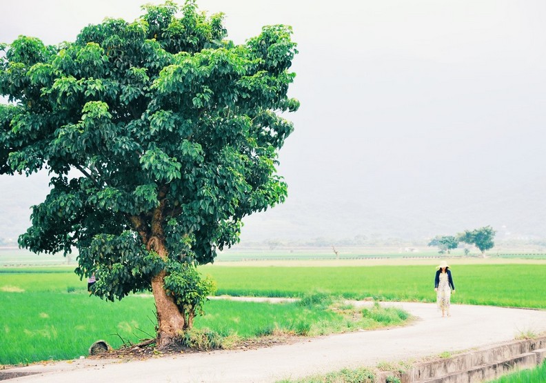 捷克女孩大力讚譽！她向外國人分享一定要造訪台灣的10大理由_img_5