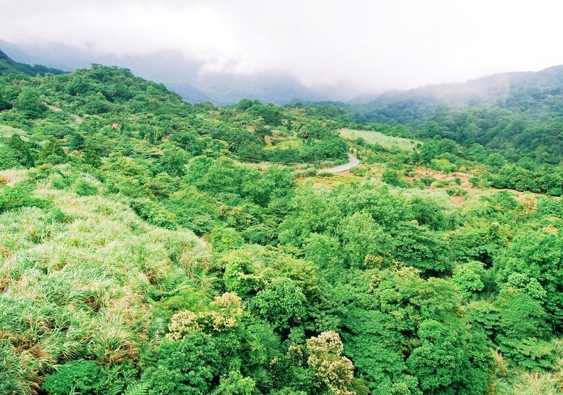 捷克女孩大力讚譽！她向外國人分享一定要造訪台灣的10大理由_img_2