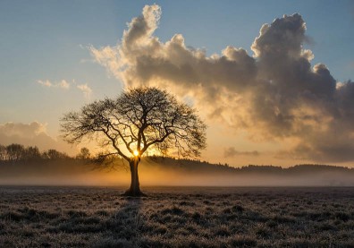 知名作家蔡璧名教授辭世，生前談《莊子》：一生就這麼長，你要被他人眼光綁架？