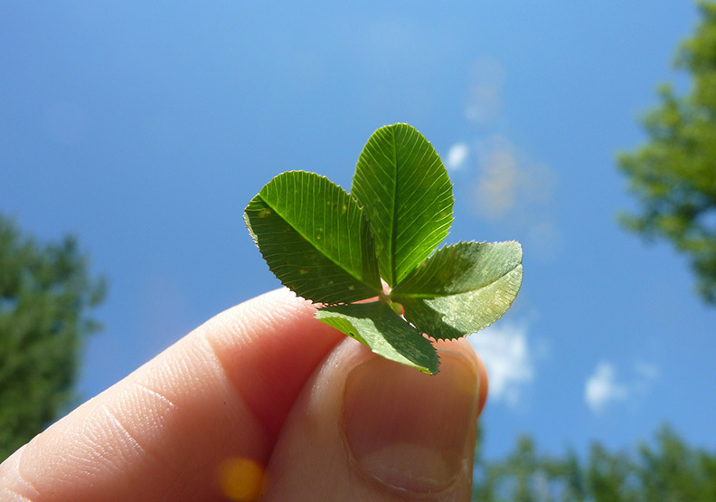 圖片來源：pixabay