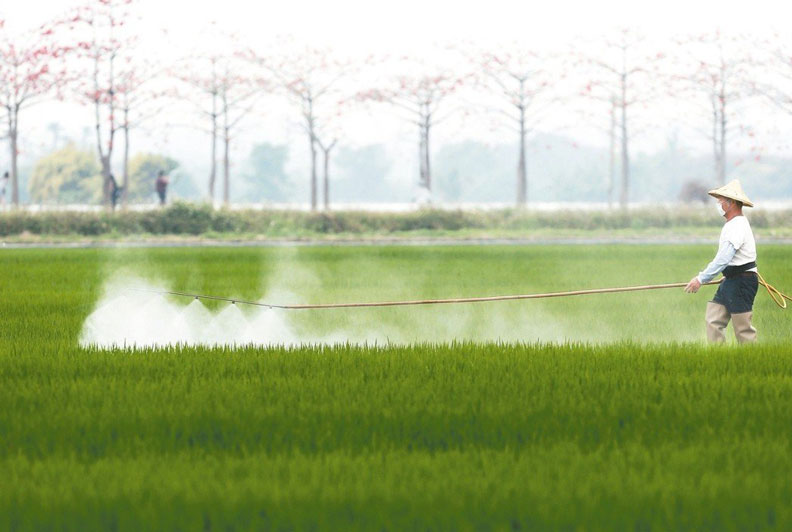 國民年金遇上這檔事...恐怕領不到_img_2