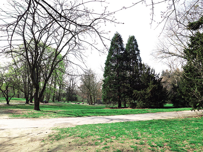 大都市中的悠閒一隅!盤點8個隱身柏林的公園美景_img_3