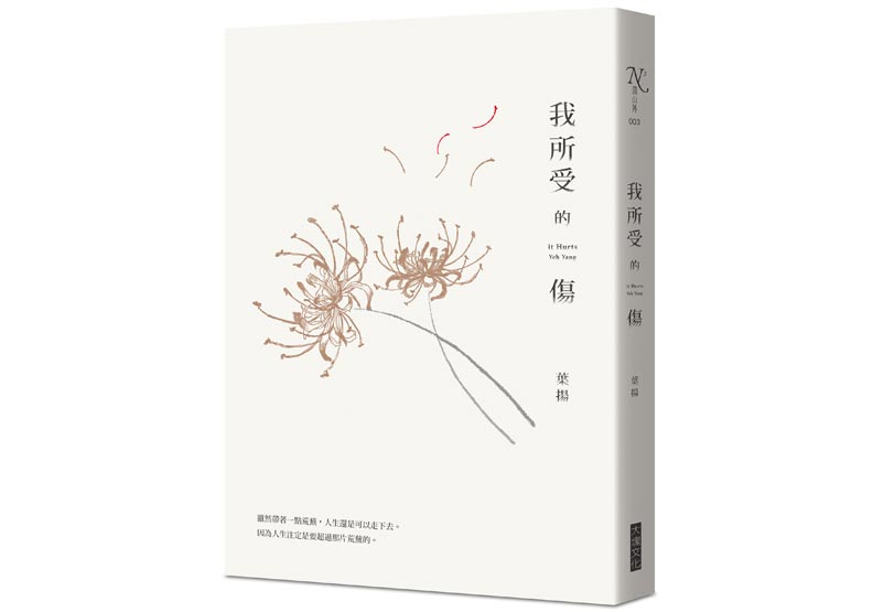總有一些人能用雲淡風輕的方式,帶你回到正軌_img_1