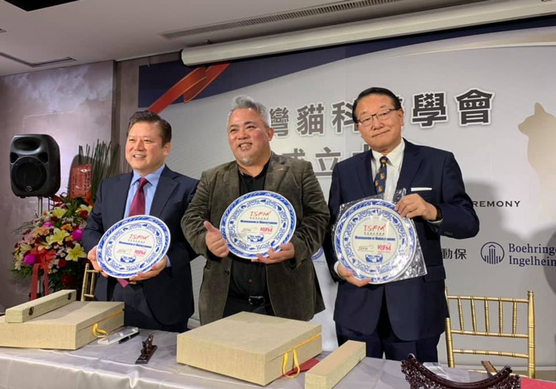 貓博士呼籲：小情侶不要輕易把貓當愛的禮物_img_1