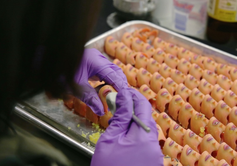 以休傑克曼形象量身打造！《大冒險家》綻放無限感動和堅持_img_5