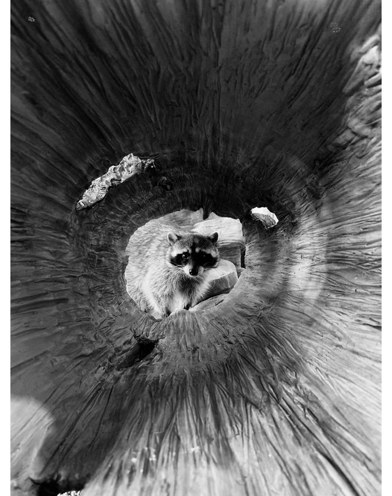 精選10張傑作!全球iPhone攝影大賽得獎作品出爐_img_2