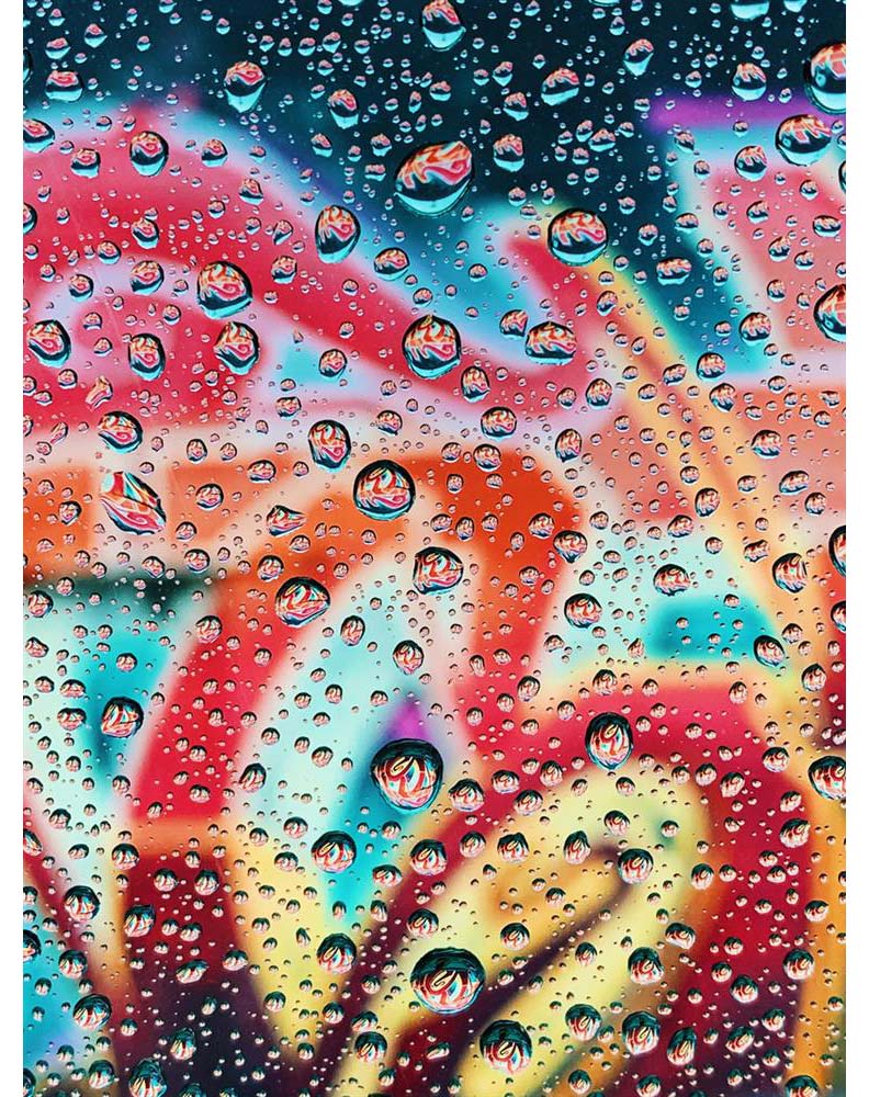 精選10張傑作!全球iPhone攝影大賽得獎作品出爐_img_7