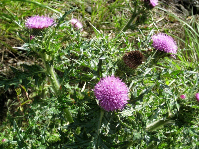 徐國勇承認「衝動」！台灣最美的環礁暫時逃過一劫_img_6