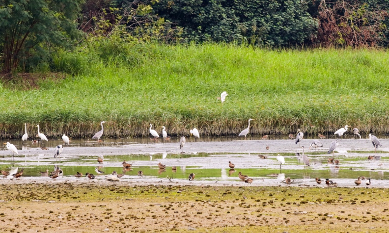 「一個地方 兩種面貌」 綠色郊野遊 感受香港的恬靜_img_2