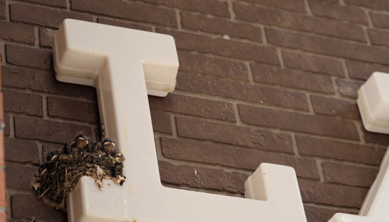 日本知名超商第一個字不會亮？背後原因超暖心_img_1