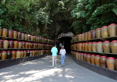 連江獨得六項冠軍 桃園、花蓮稱霸醫療、交通
