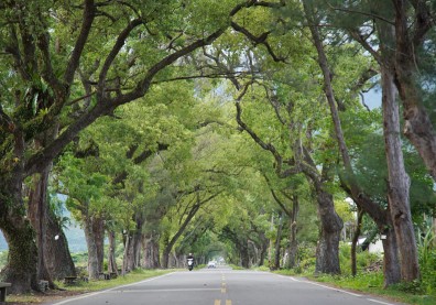 東部三縣獲肯定 台中雲林備極艱辛