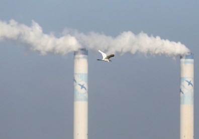 歐洲環保署報告：逾10%癌症病例與空汙、二手菸等環境汙染有關