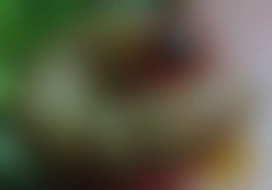 「秋行軍蟲」首度侵台！農委會研判：從中國隨西南風來