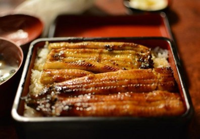 日本研究出「完全養殖」鰻魚，但離量產還有好大一步