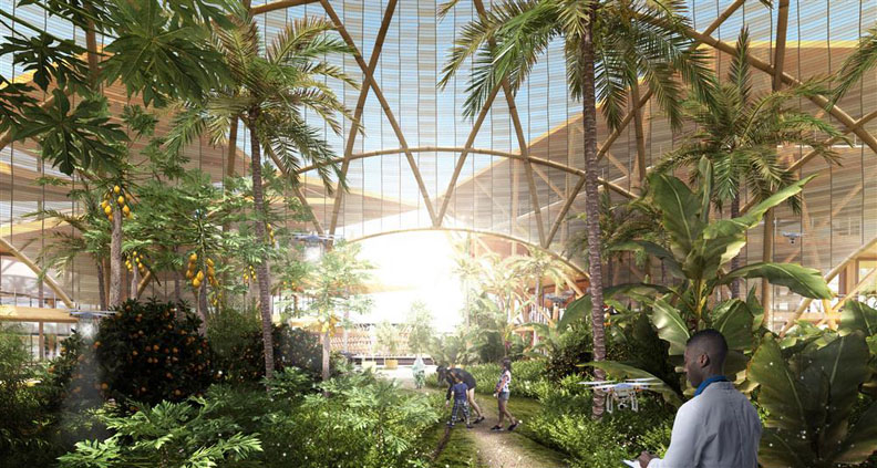 萬人水上生活圈！與海和平共存的都市設計方案_img_6