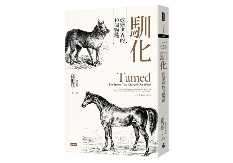 一場全國性的農地實驗,改寫了愛爾蘭的未來_img_1