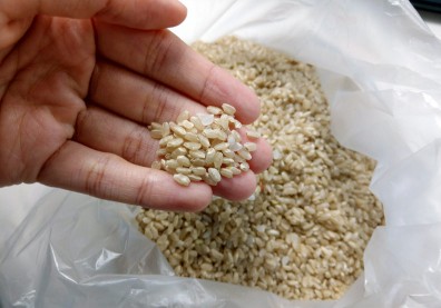 聽說糙米好就天天吃？別讓身體過度耗能、還消化不良
