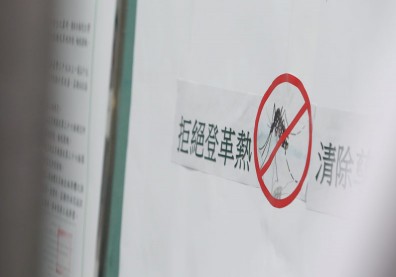 本土登革熱疫情延燒，若不小心感染該怎麼辦？