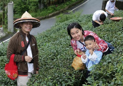 用一壺台灣藍鵲茶，讓環保與茶農經濟雙贏