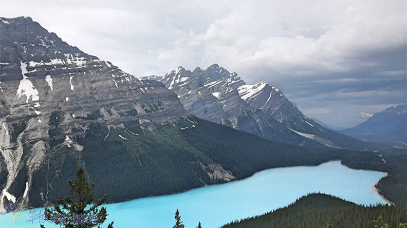鮮明的藍綠色湖水！嘆為觀止大冰原：班夫國家公園_img_7