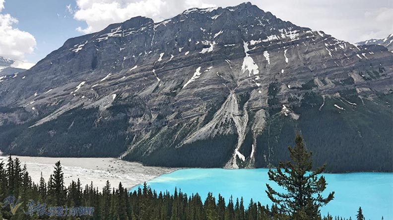 鮮明的藍綠色湖水！嘆為觀止大冰原：班夫國家公園_img_8