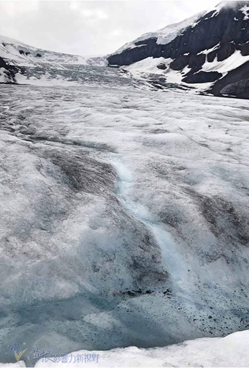 鮮明的藍綠色湖水！嘆為觀止大冰原：班夫國家公園_img_17