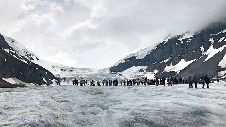 鮮明的藍綠色湖水！嘆為觀止大冰原：班夫國家公園_img_19