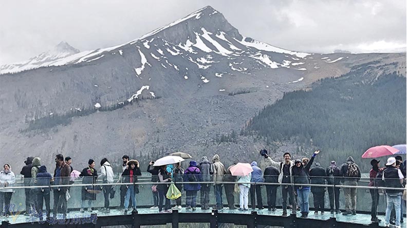 鮮明的藍綠色湖水！嘆為觀止大冰原：班夫國家公園_img_21