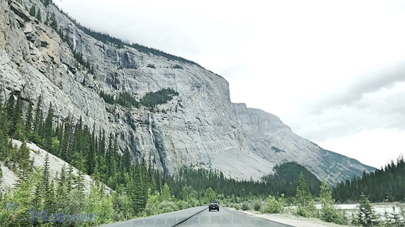 鮮明的藍綠色湖水！嘆為觀止大冰原：班夫國家公園_img_28