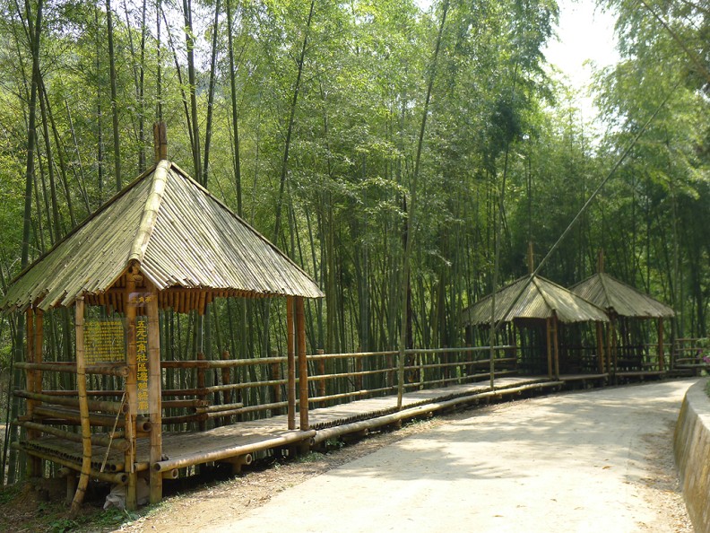 別再說雲林好無聊!20個霸占網紅IG打卡的祕境_img_1