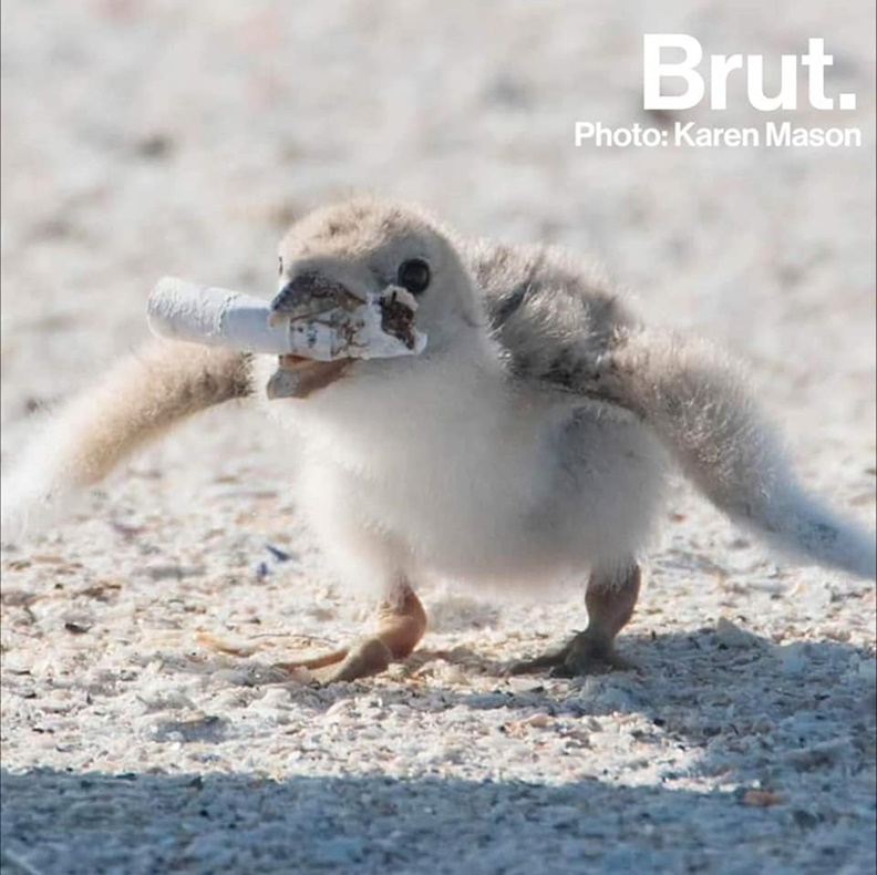 在宜蘭的這間養護院,光寶用愛心打造綠能發電_img_2