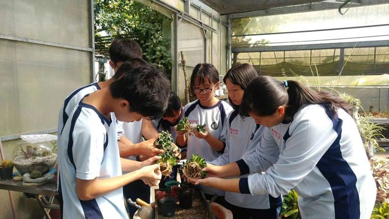 十二年國教太複雜？完全中學成家長心目中的熱門選擇_img_1