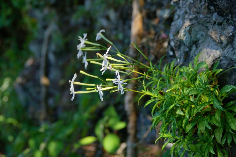 封島五年重新開放!20分鐘直達台灣龍珠「基隆嶼」_img_1