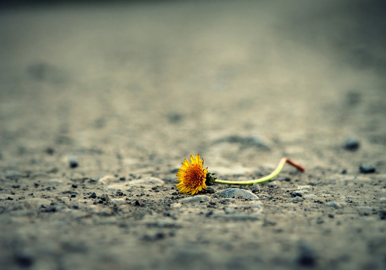 圖片來源：pixabay