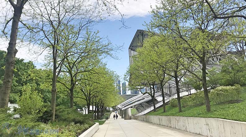 在地人私房景點？3個看芝加哥日景的最佳地點_img_2