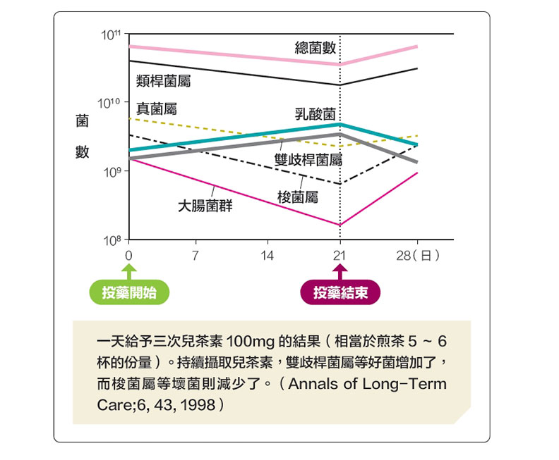 活化脂肪代謝,日本減肥名醫靠「綠茶+咖啡」鏟25公斤_img_2