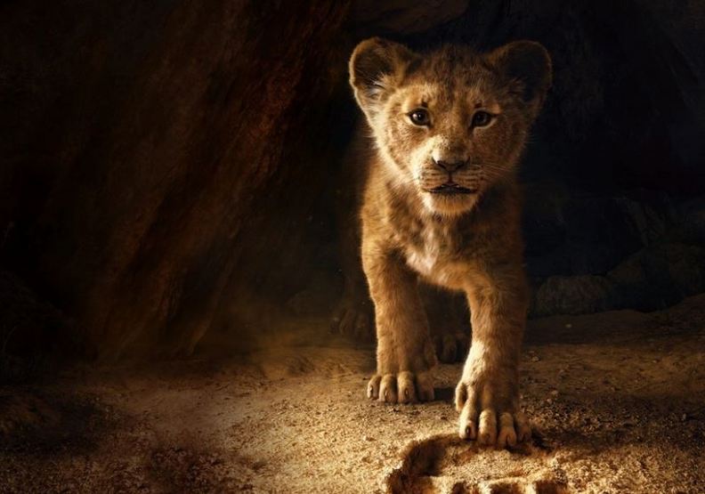 《獅子王》:死亡不是消逝,而是命運輪迴的浪漫_img_4