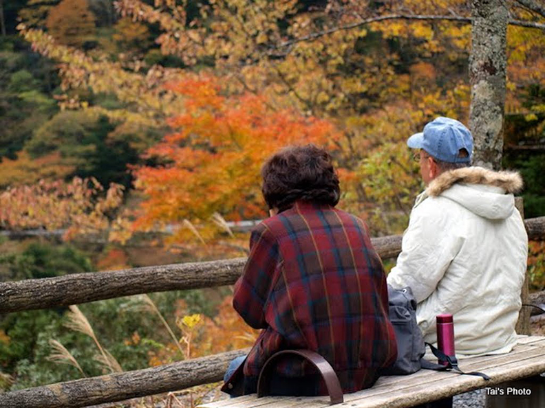 一滴唾液找出祖先足跡？美國「尋根之旅」正夯！_img_5