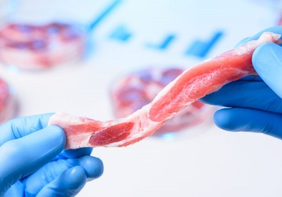 未來吃的肉不是肉？專家推測：2040年替代肉將佔六成